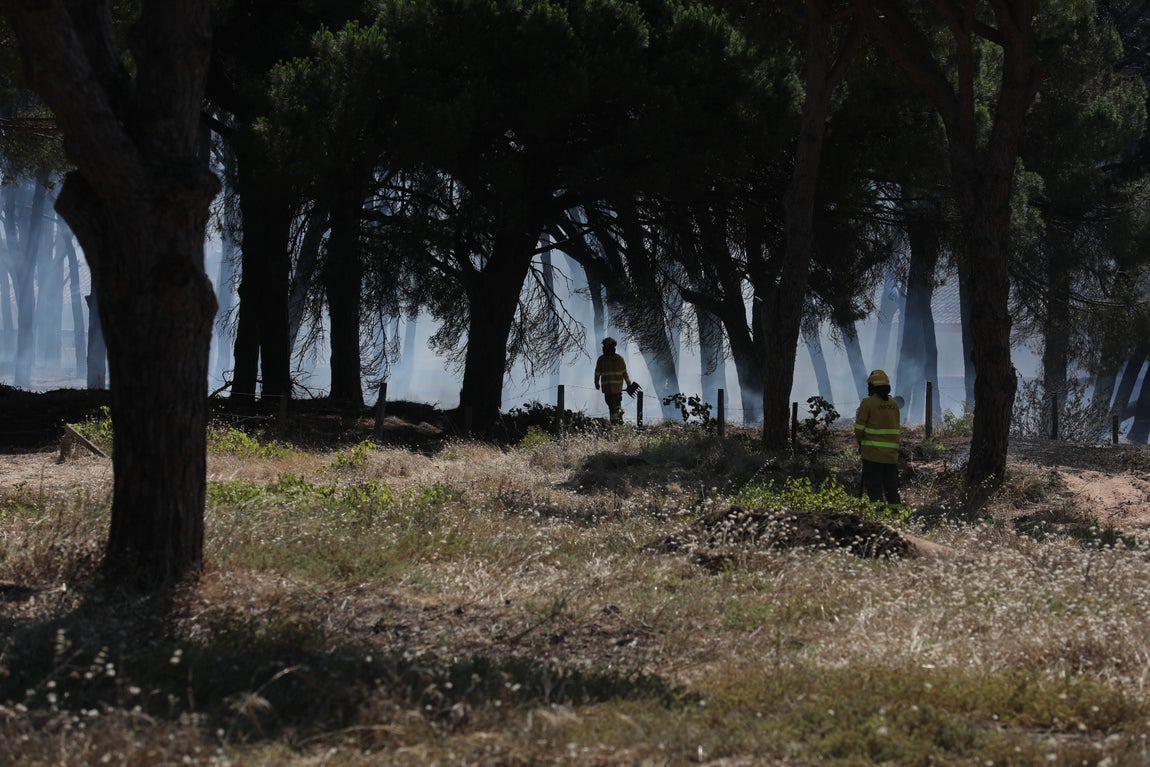 Fotos: Los vecinos se vuelcan para sofocar el incendio de Chiclana