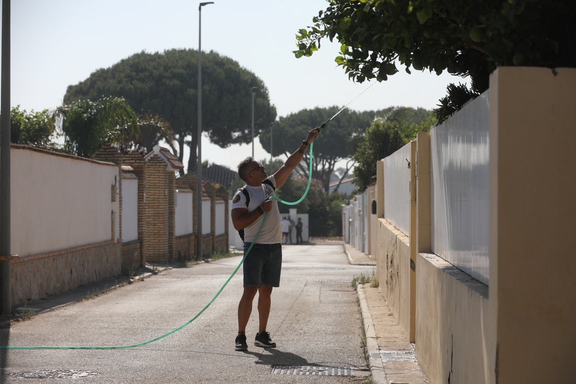 Fotos: Los vecinos se vuelcan para sofocar el incendio de Chiclana