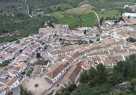 El curioso concurso que hacen cada año en este pueblo de Cádiz: «Tiene que ser larga, gorda y dura»