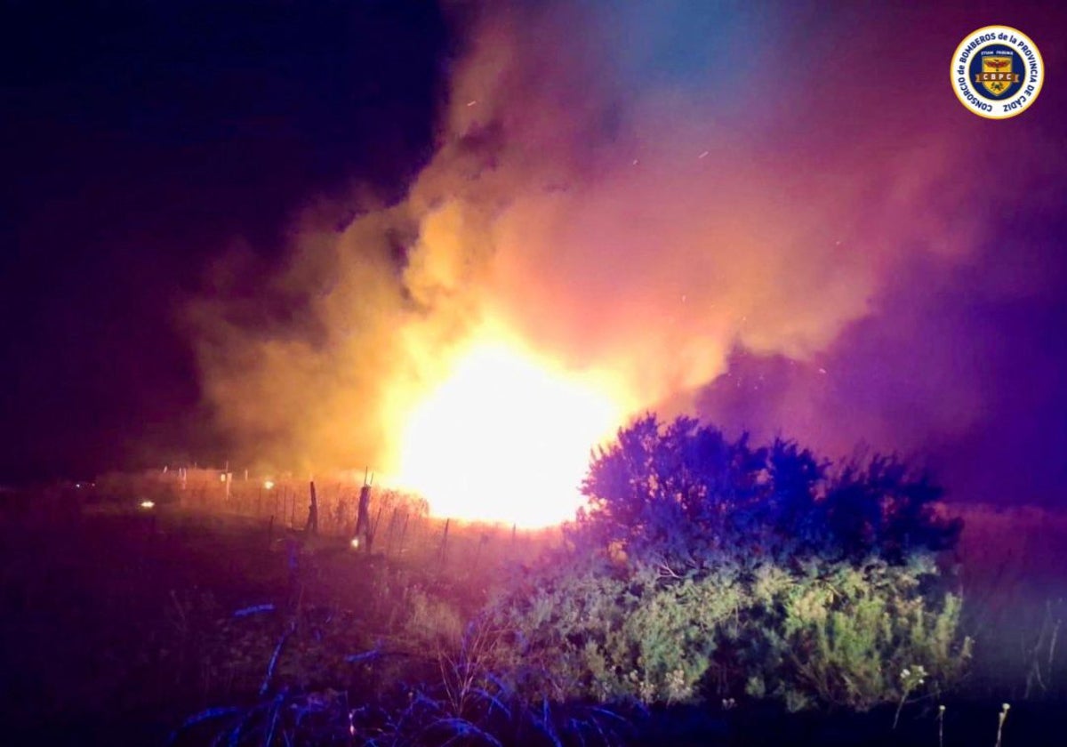 Nuevo incendio en Cádiz: arde de madrugada una superficie de 10.000 metros cuadrados en Paterna de Rivera
