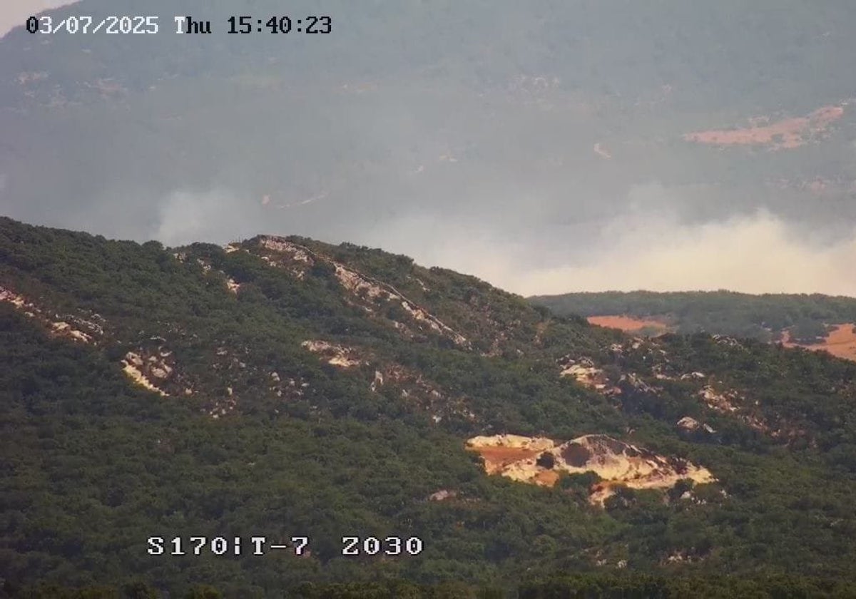 El incendio forestal en Tarifa queda estabilizado