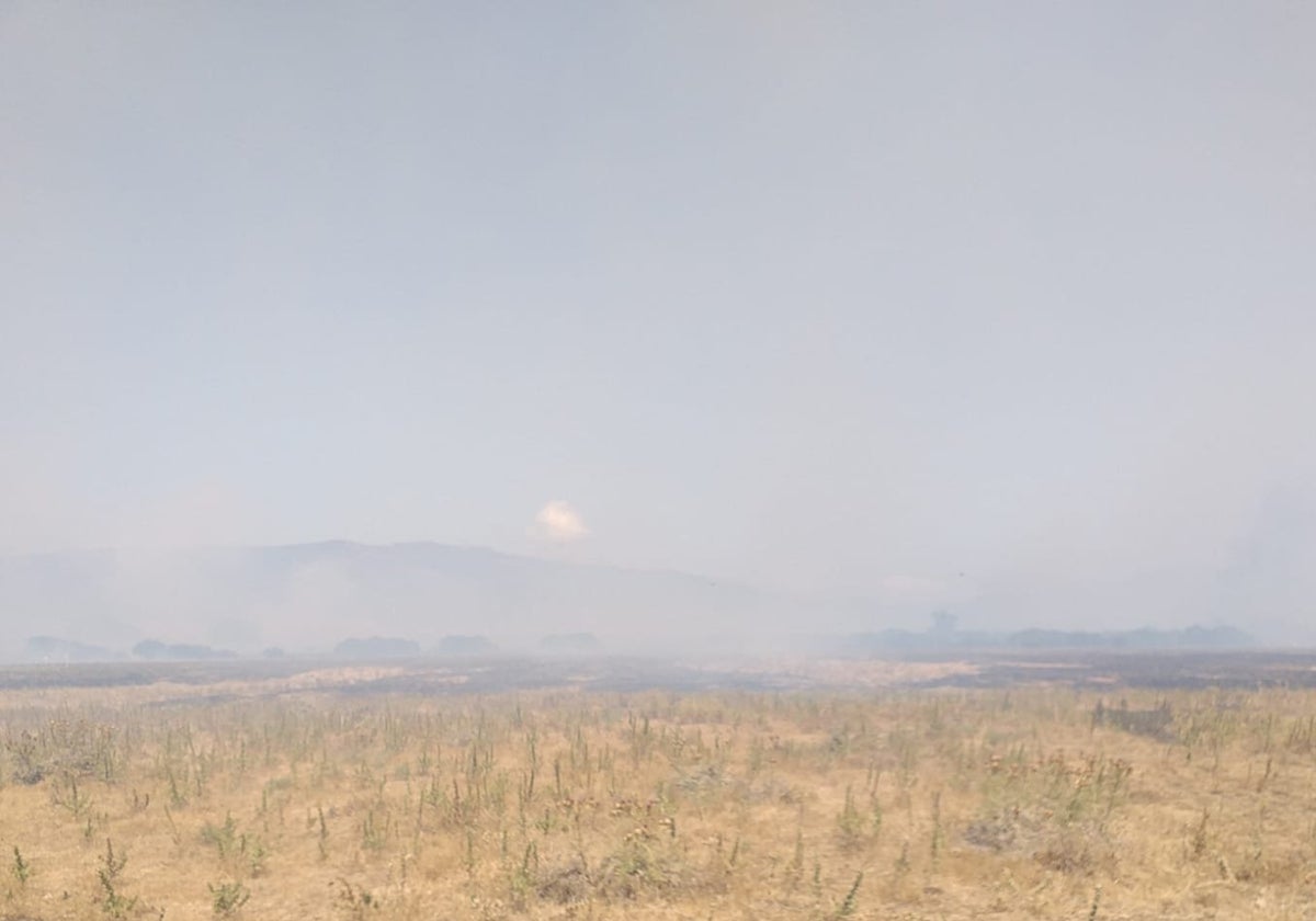Infoca continúa trabajando en el incendio de Tarifa, en la pedanía de Fancinas, que está estabilizado