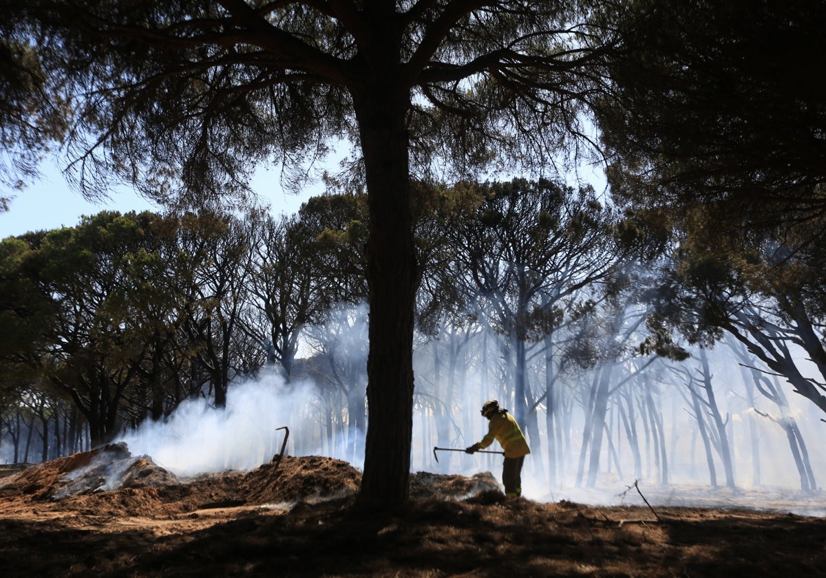Intervención en el incendio de Chiclana este martes