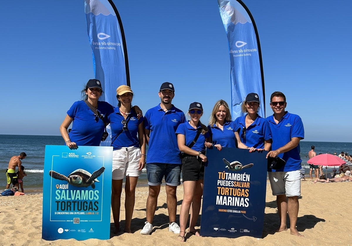 Más de 80 municipios andaluces se unen para salvar tortugas marinas este verano