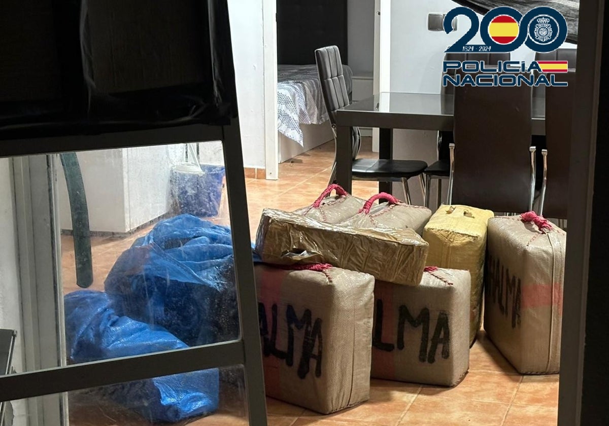 Agentes de la Policía Nacional han intervenido en Puerto Real más de 350 kilos de hachís.