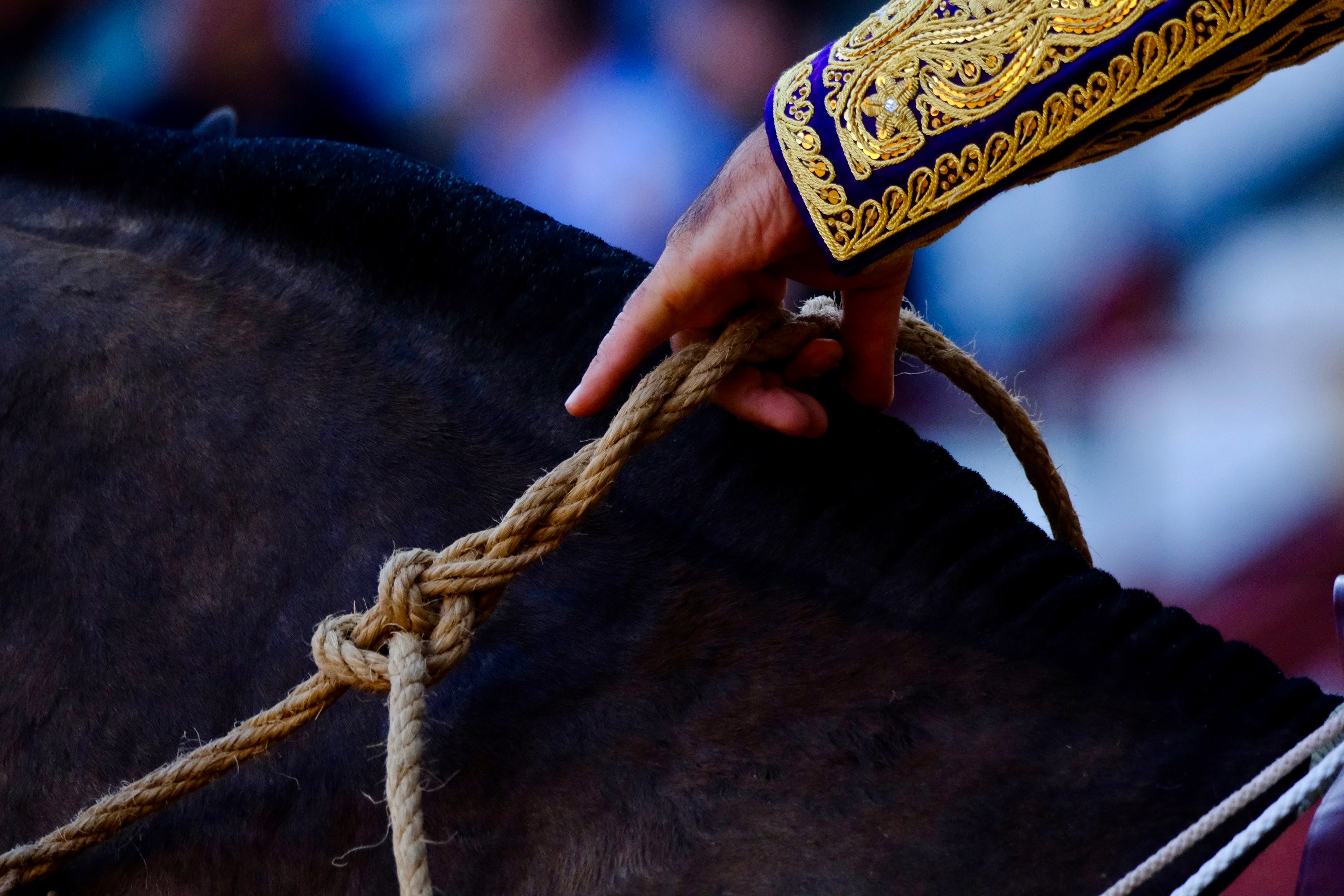 Fotos: A hombros en El Puerto