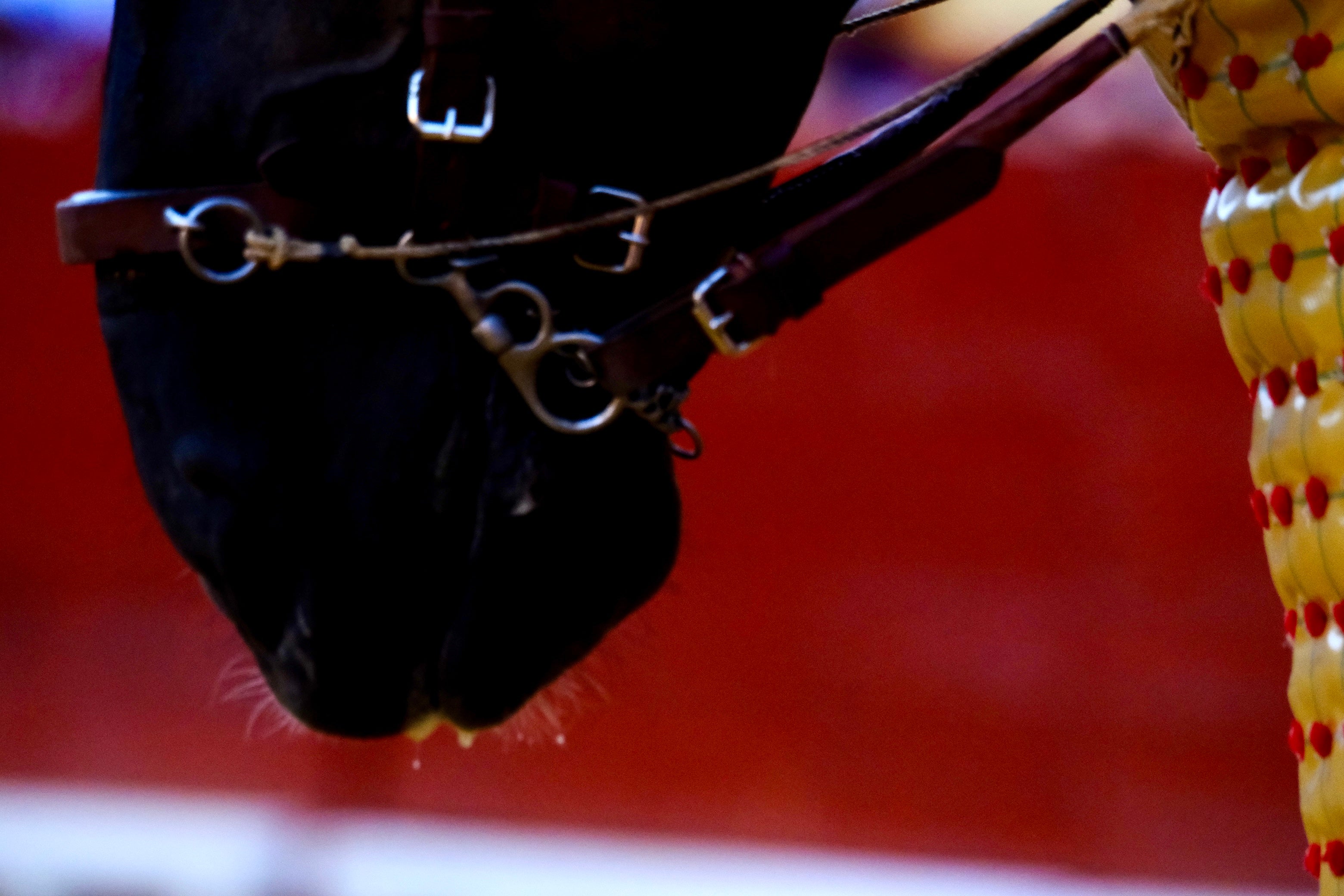 Fotos: A hombros en El Puerto