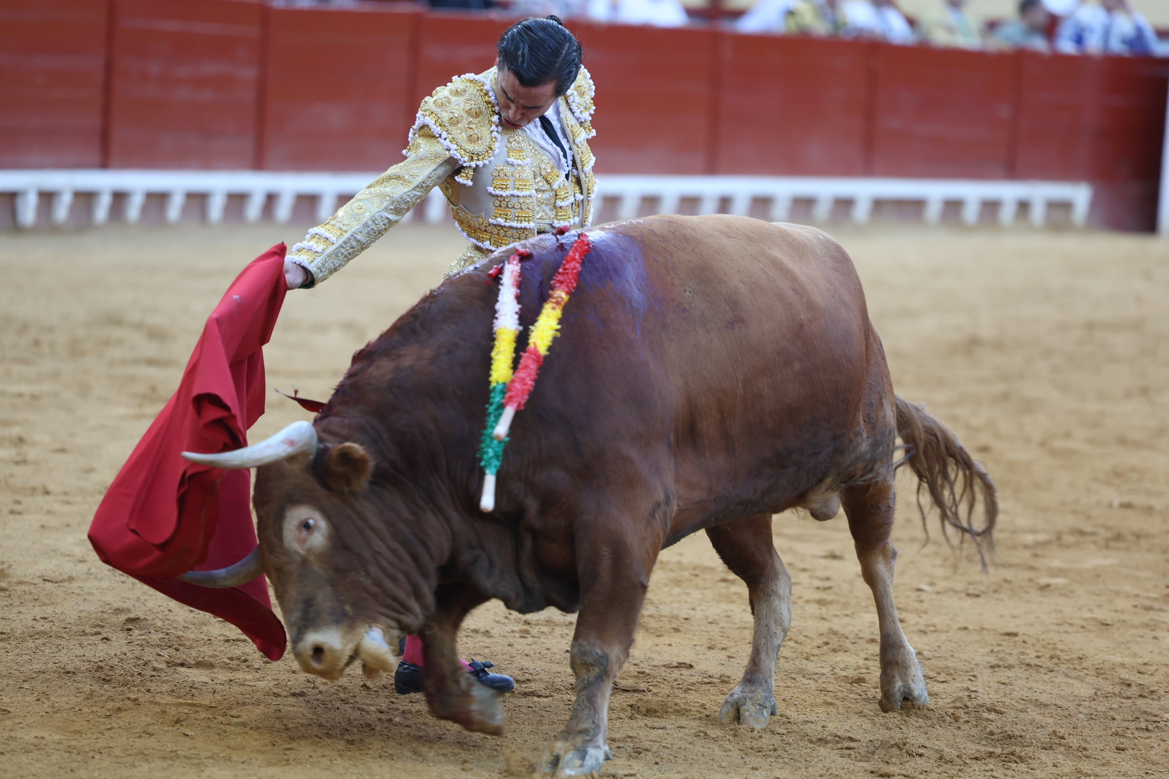 Fotos: La corrida de El Puerto en imágenes
