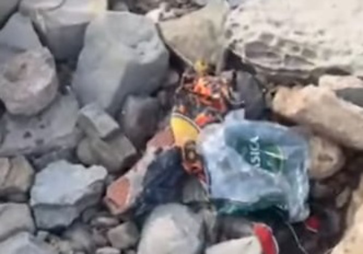 Denuncian el estado de La Ballenera