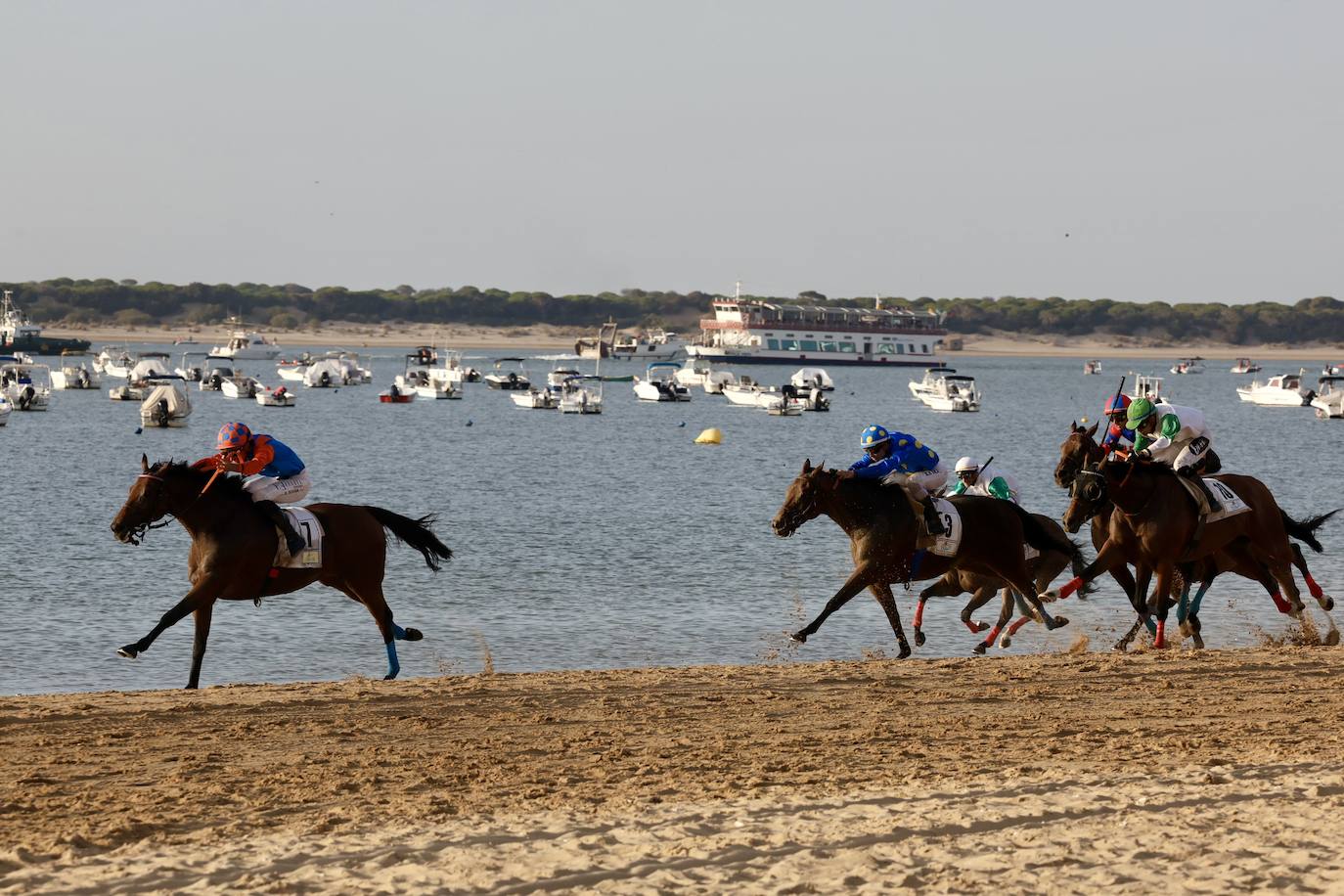 Fotos: Las Carreras de Caballos de Sanlúcar dan sus primeras galopadas
