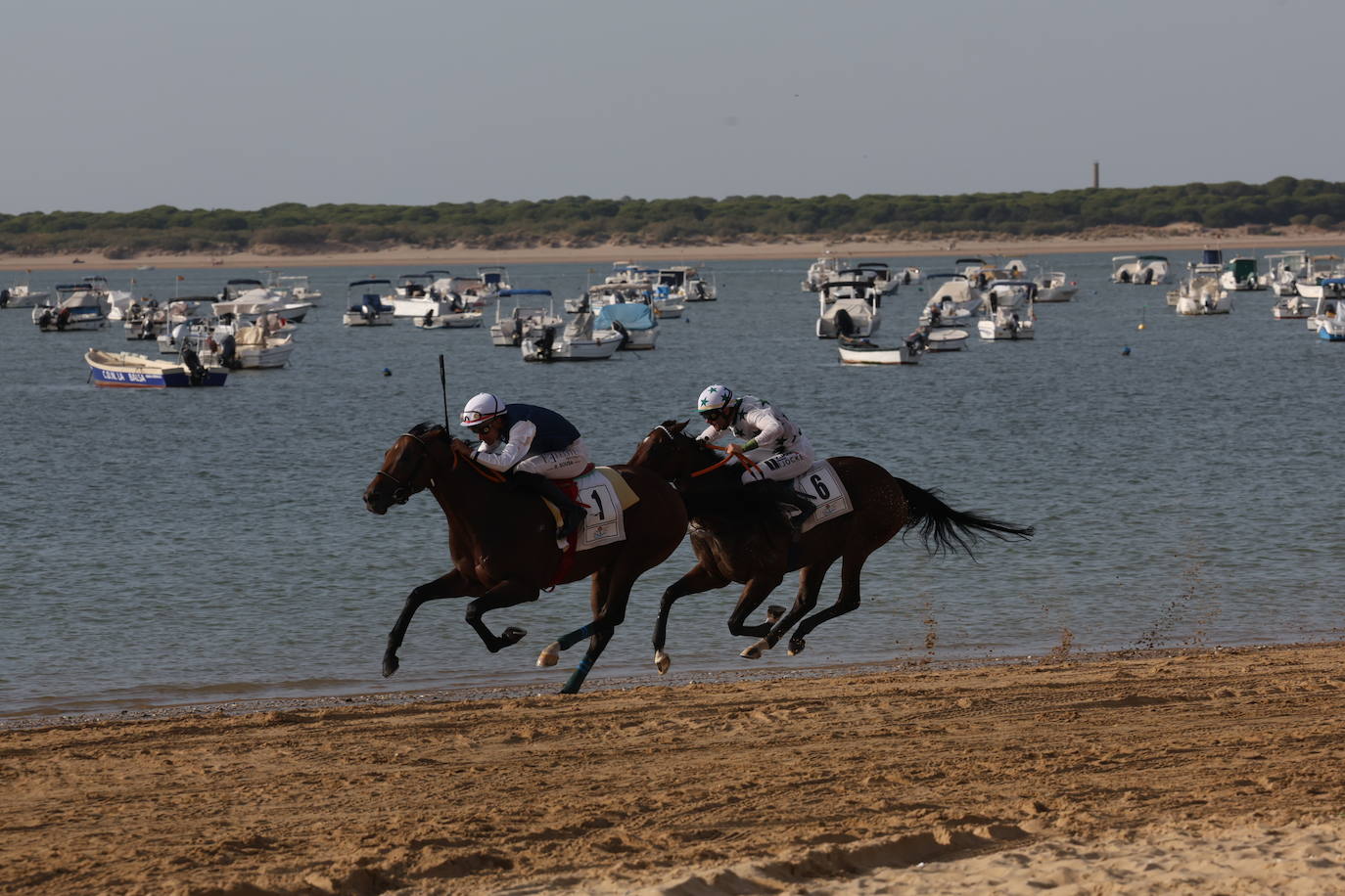 Fotos: Las Carreras de Caballos de Sanlúcar dan sus primeras galopadas