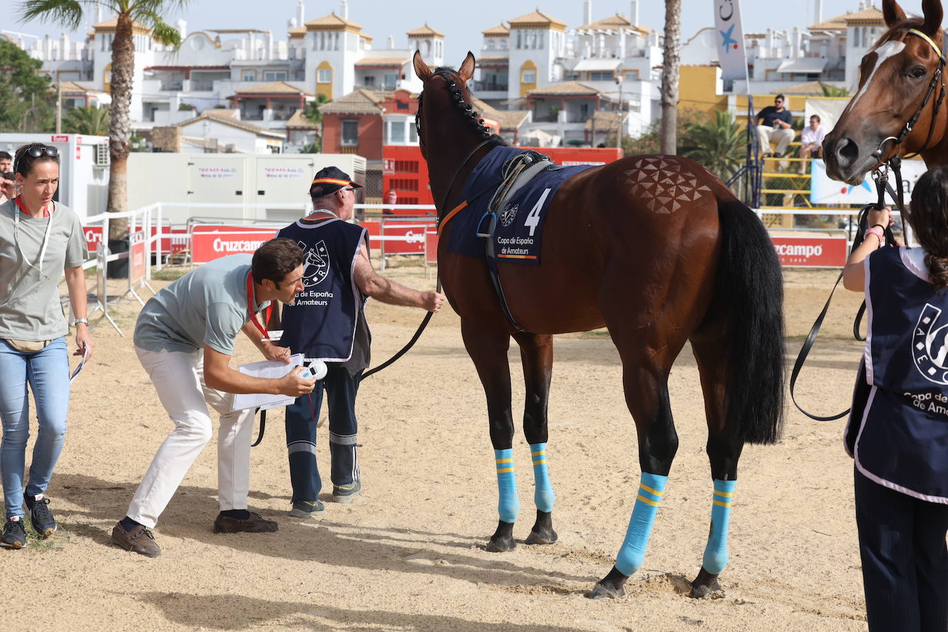 Fotos: Las Carreras de Caballos de Sanlúcar dan sus primeras galopadas