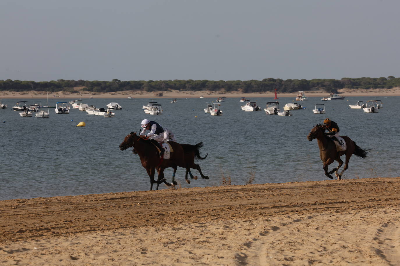 Fotos: Las Carreras de Caballos de Sanlúcar dan sus primeras galopadas