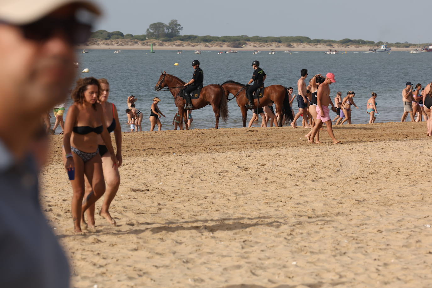 Fotos: Las Carreras de Caballos de Sanlúcar dan sus primeras galopadas