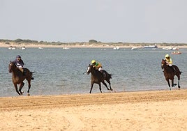 Fotos: Las Carreras de Caballos de Sanlúcar dan sus primeras galopadas