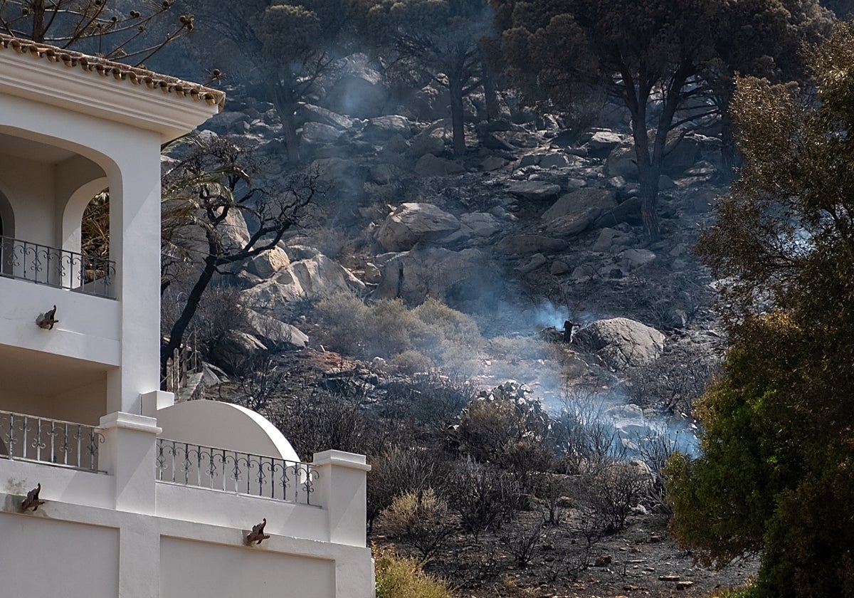 El sector turístico preocupado por el incendio de Tarifa que afecta a campings y hoteles en plena temporada alta