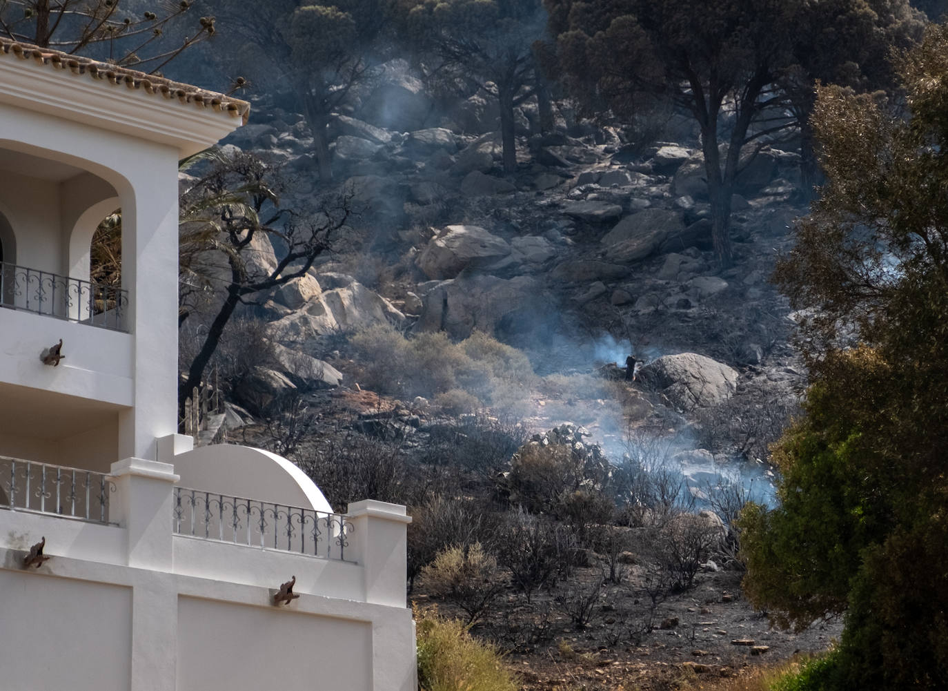 Las imágenes del incendio de Tarifa: el fuego obliga a desalojar a 1.500 personas
