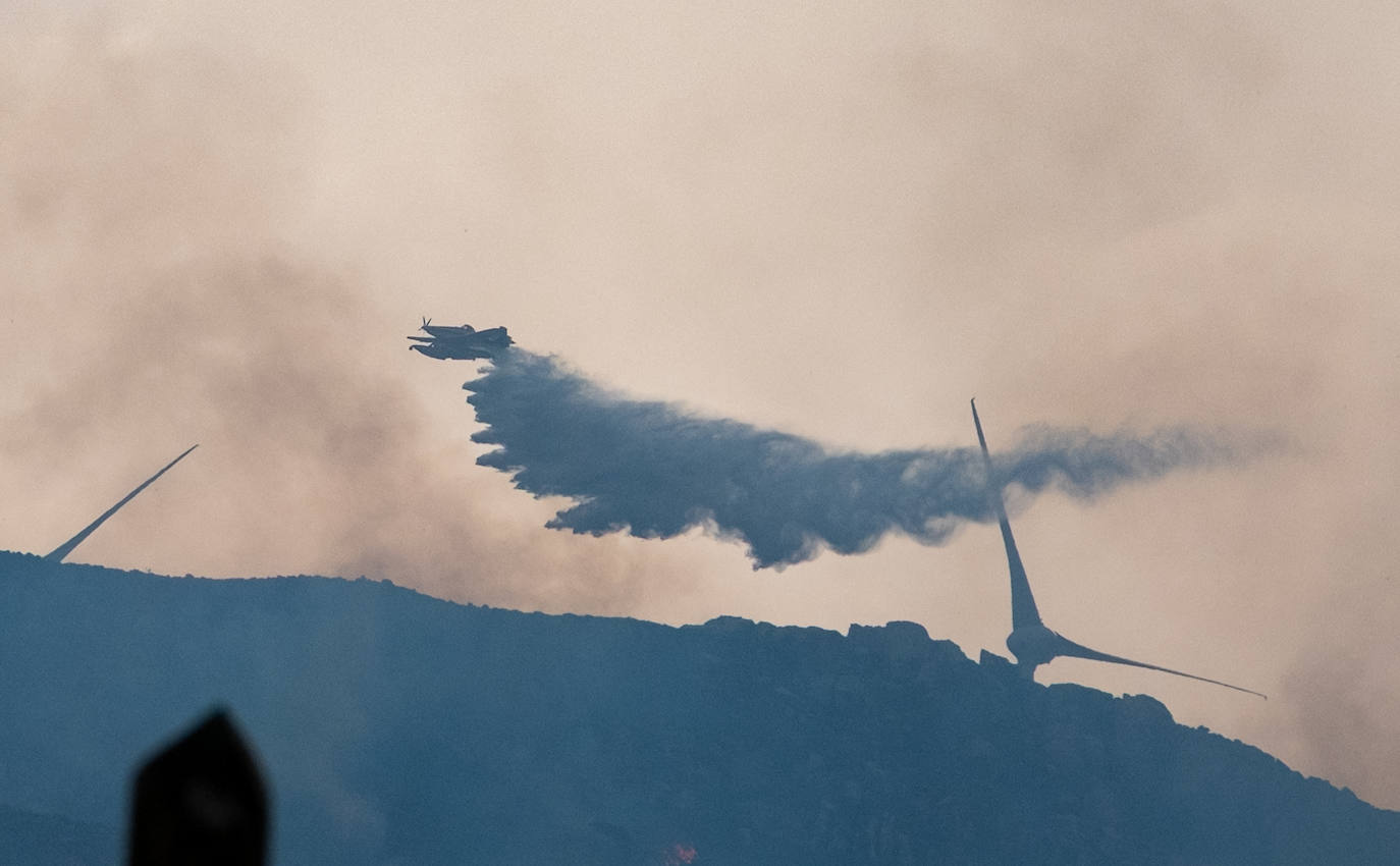 Las imágenes del incendio de Tarifa: el fuego obliga a desalojar a 1.500 personas