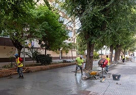 Los trabajos del Plan de Reposición del Viario Urbano y Alcorques de Cádiz se encuentran al 50% de su ejecución