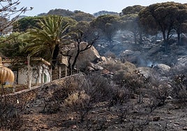 El  Virgili Cádiz ofrece a Tarifa  jugar un amistoso y recaudar fondos para reforestar el monte quemado