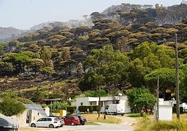Tarifa recupera el pulso turístico tras el incendio: así se presenta el fin de semana