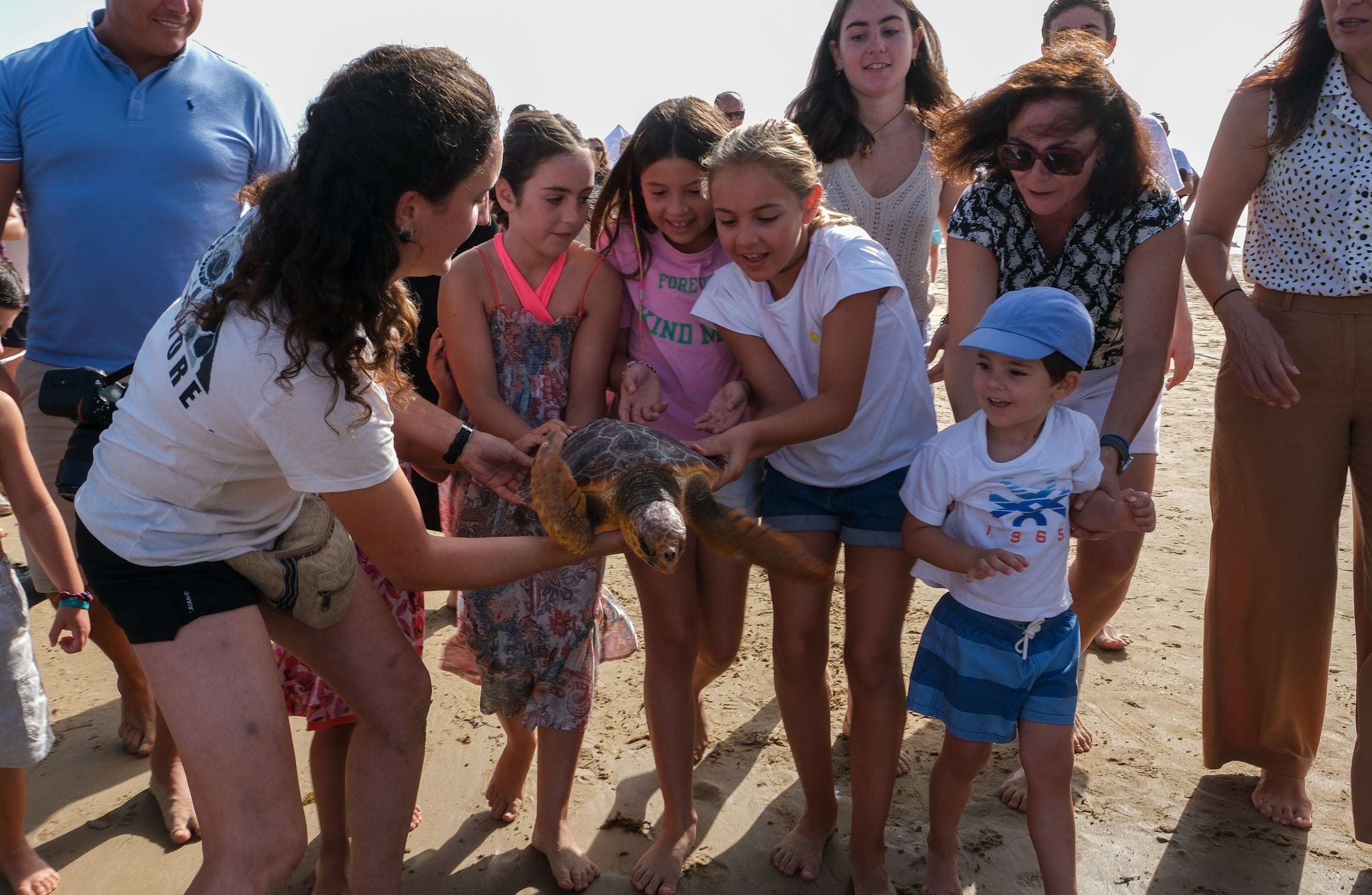 Fotos: Así ha sido la suelta de tres tortugas en la playa de Cortadura de Cádiz