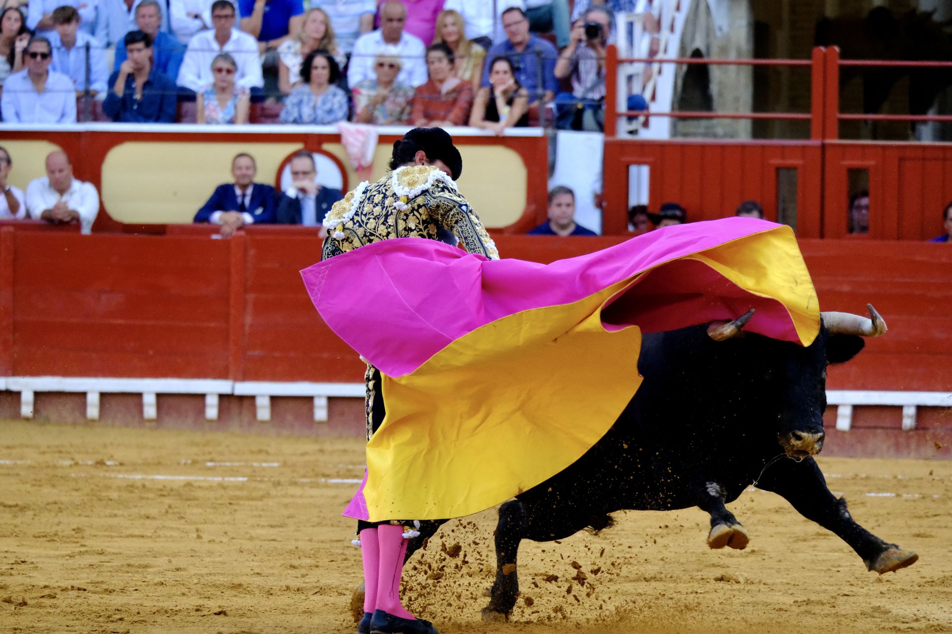 Toros en El Puerto: Morante, Roca Rey y Daniel Crespo
