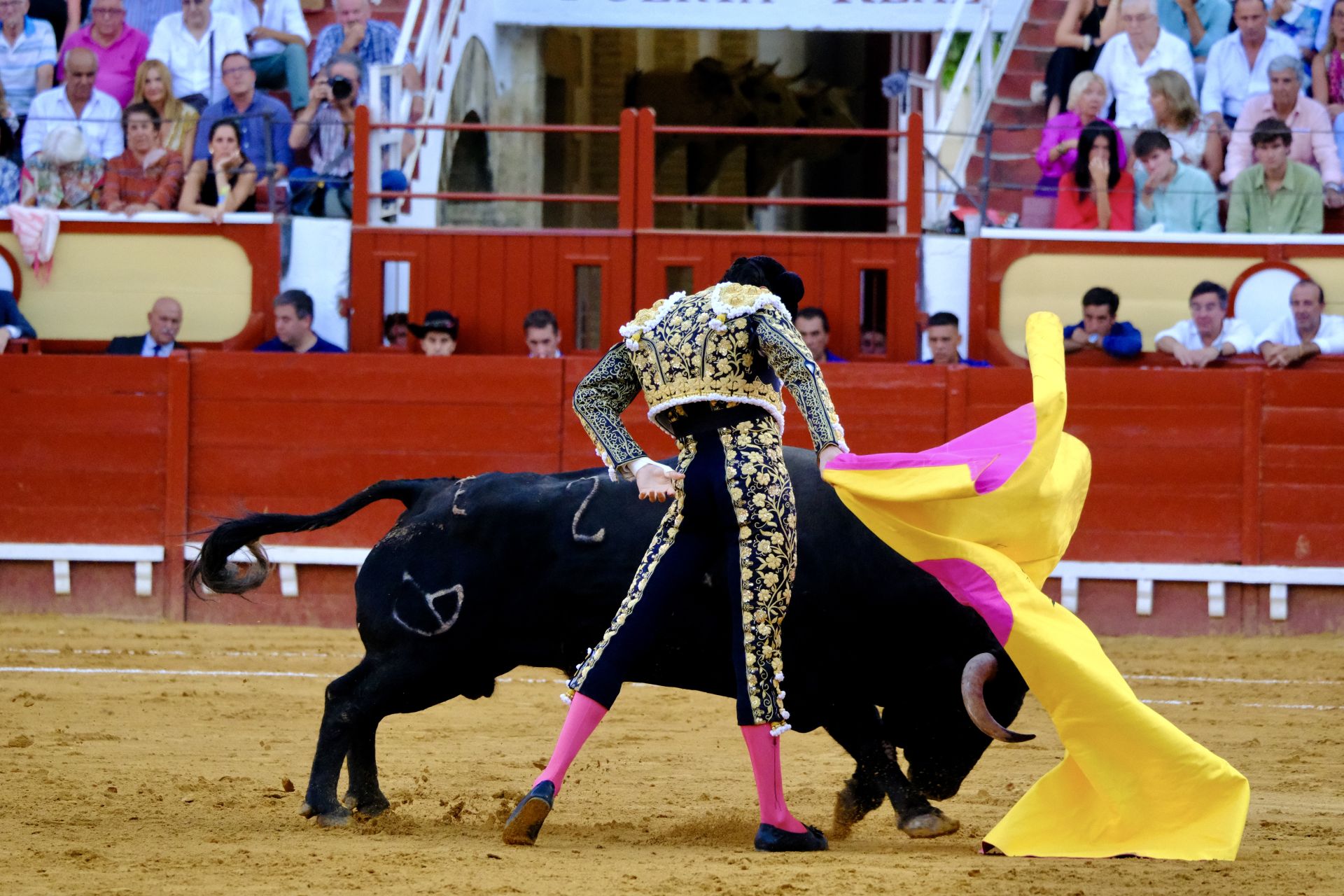 Toros en El Puerto: Morante, Roca Rey y Daniel Crespo