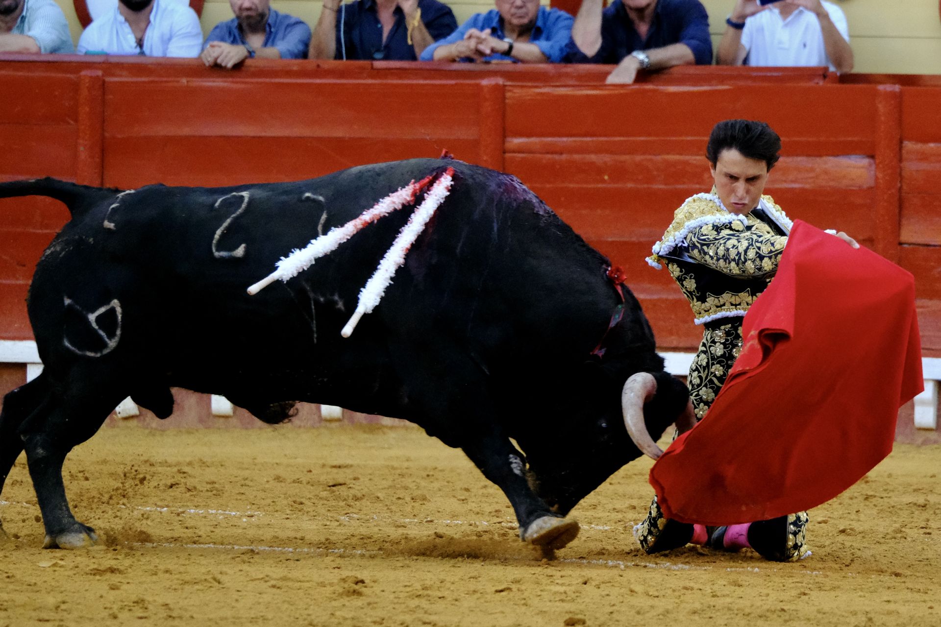 Toros en El Puerto: Morante, Roca Rey y Daniel Crespo