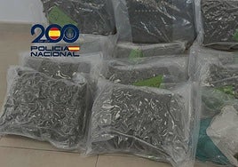 La Policía lo rescata de su furgoneta y encuentra 13 kilos de marihuana