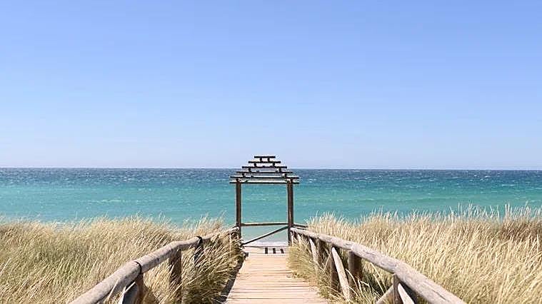 Playa de El Palmar