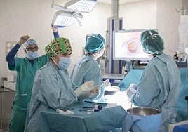 El SAS materializa el 98,7% de los contratos de su Plan de Verano