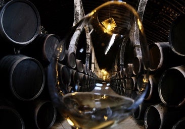 Los aranceles de Trump ponen a prueba a las empresas gaditanas: «No es momento para el desaliento, sino para la estrategia»