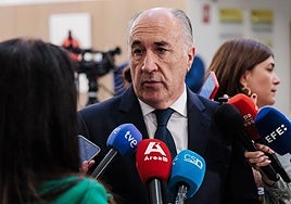 Landaluce valora la reunión de Sánchez y Starmer como «oscurantista»