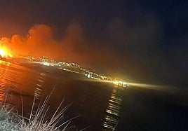 Arrestado en Algeciras por provocar varios incendios en el Parque del Centenario