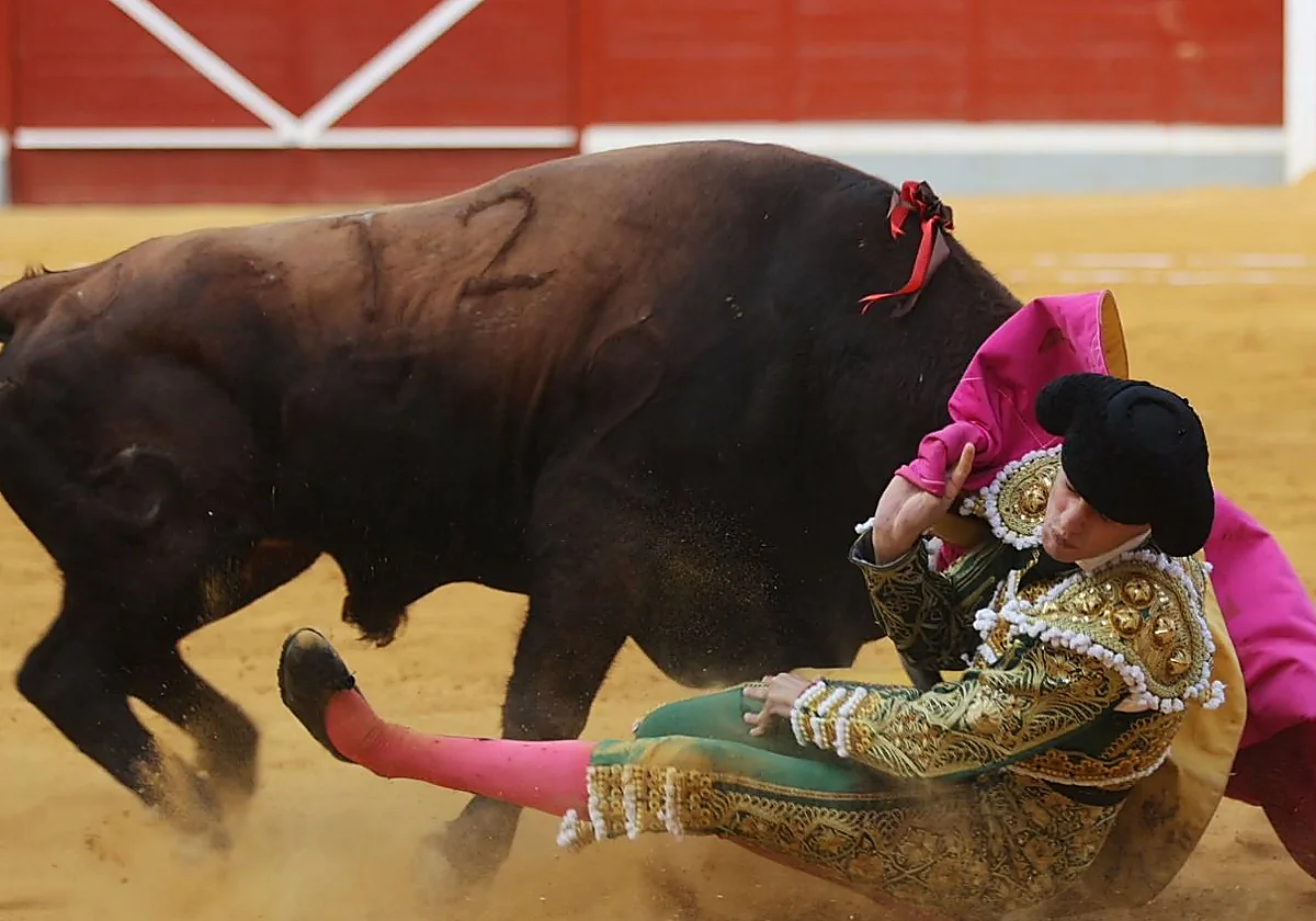 Momento de la cogida de Gonzalo Capdevila