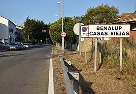 La Junta declara área en alerta a Benalup-Casas Viejas tras detectar circulación de mosquitos con virus del Nilo