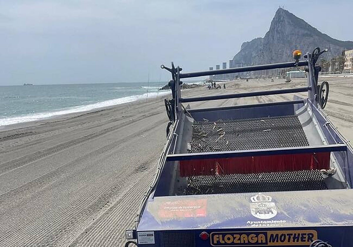 Hasta 450 toneladas de alga invasora retiradas de las playas de La Línea en lo que va de año