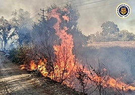 Un incendio iniciado en una cuneta calcina 3,5 hectáreas de una finca rural en Jerez