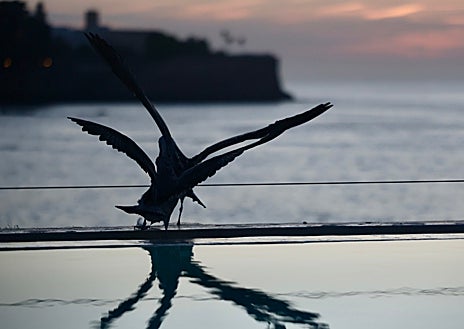 Imagen secundaria 1 - Homenaje a la artesanía y el atardecer gaditano