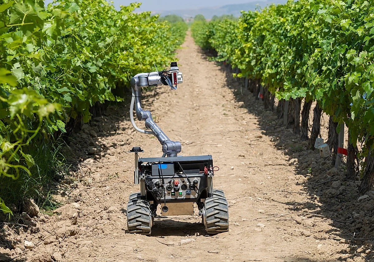 La iniciativa que permitirá mejorar la competitividad de las cooperativas agroalimentarias mediante inteligencia artificial