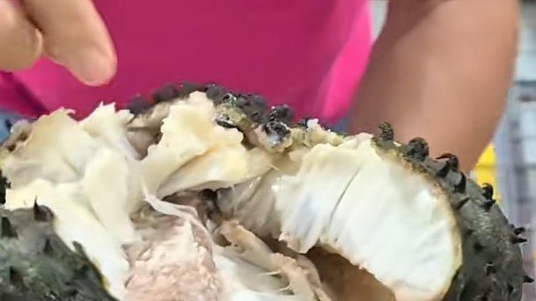 La extraña fruta exótica que ha llegado a Cádiz y sirve para combatir el estrés: «Sabe como a piña»