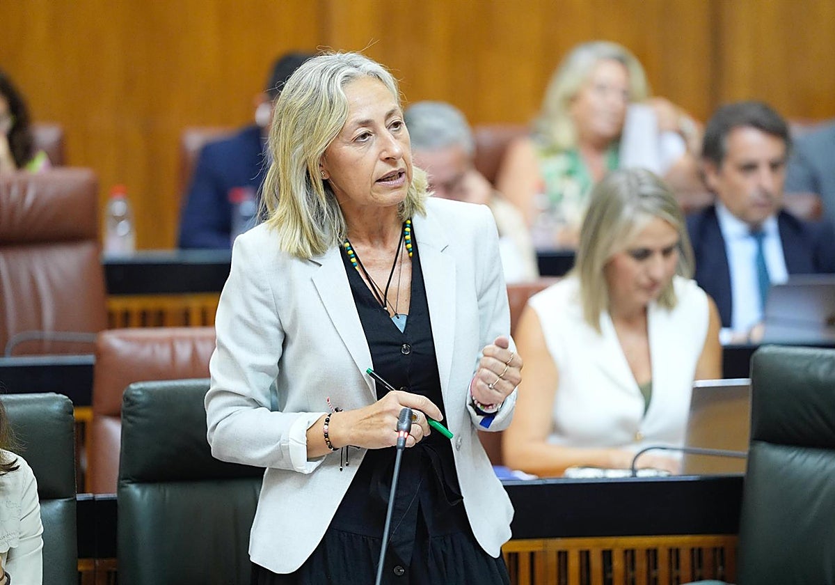 La consejera de Salud, Rocío Hernández, en el pleno del 25 de septiembre de 2025.