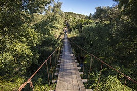 Así es el pueblo más joven de la provincia de Cádiz: se independizó en 2018 y tiene menos de 3.000 habitantes