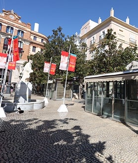 Imagen secundaria 2 - Plaza de las Flores de Cádiz