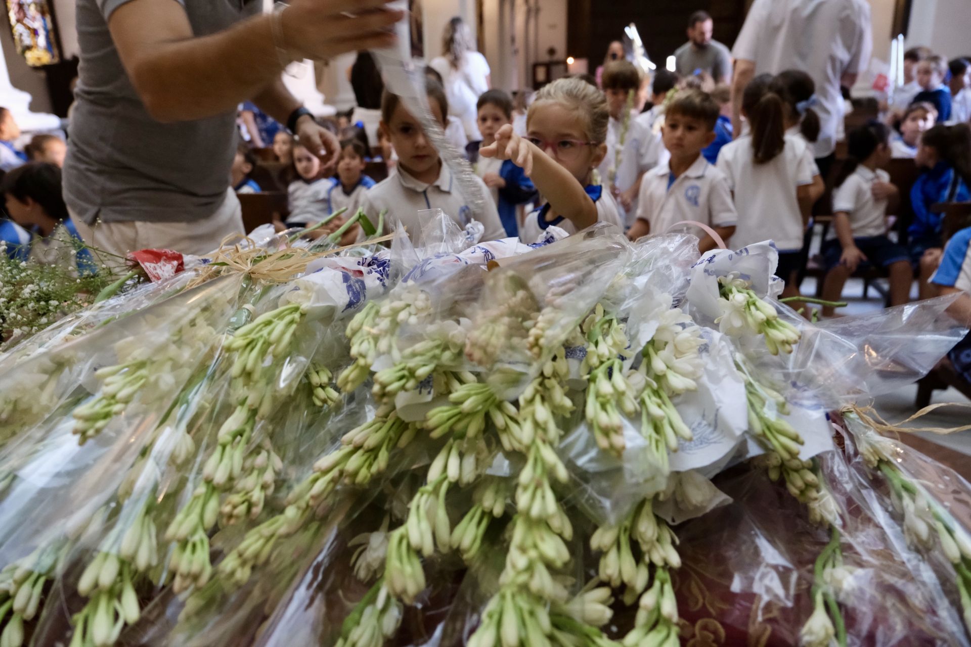 Fotos: Escolares gaditanos llevan flores a la Patrona de la ciudad