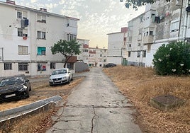 La Junta recibe cuatro ofertas para la reurbanización del barrio de La Piñera en Algeciras