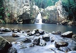 El sendero de Cádiz que te hará sentir como en el paraíso: una ruta sencilla en plena naturaleza que termina en una espectacular cascada