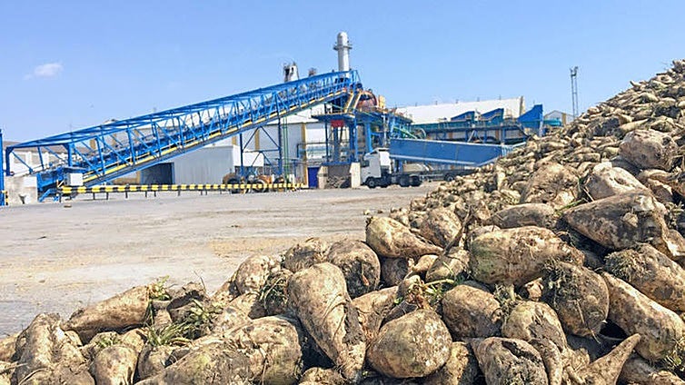 La Junta ofrece a Azucarera su colaboración para evitar el traslado de la producción de su planta de Jerez