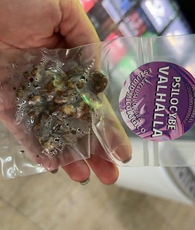 Imagen secundaria 2 - Desarticulada en Conil una de las mayores empresas de distribución de derivados del cannabis en España